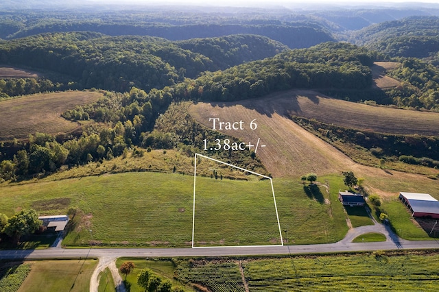 3145 Pea Ridge Rd, Liberty TN, 37095 land for sale