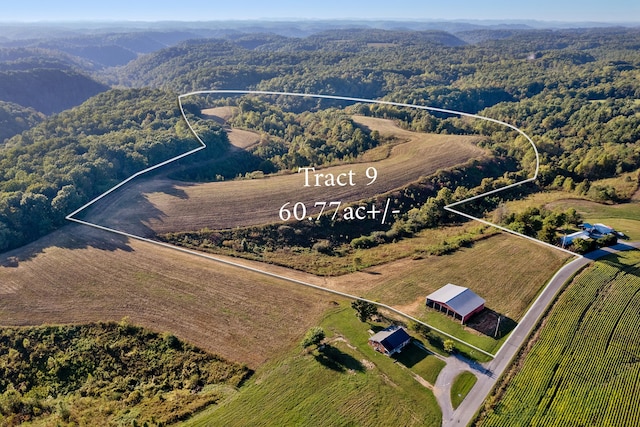 3145 Pea Ridge Rd, Liberty TN, 37095 land for sale