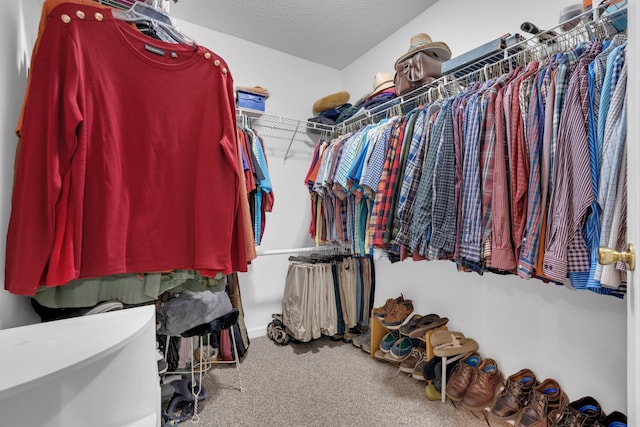 spacious closet featuring carpet