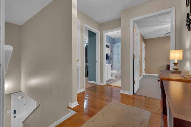 hall featuring light hardwood / wood-style flooring