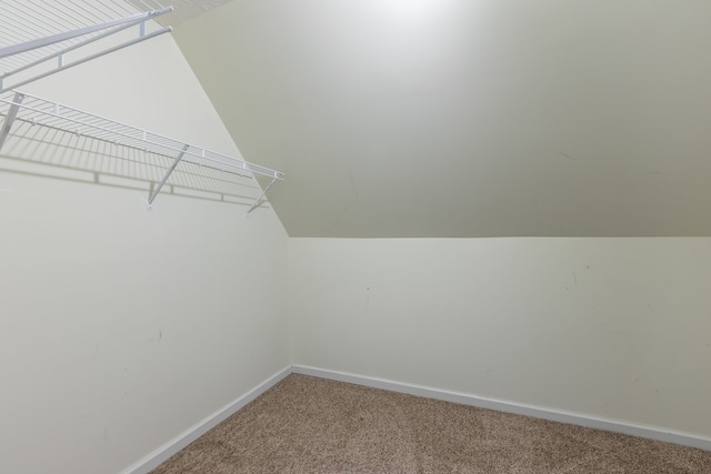 spacious closet with lofted ceiling and carpet flooring