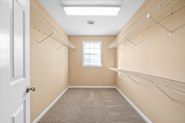 walk in closet featuring carpet flooring