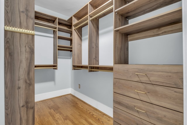 spacious closet with wood-type flooring