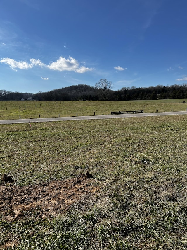 view of yard featuring a rural view