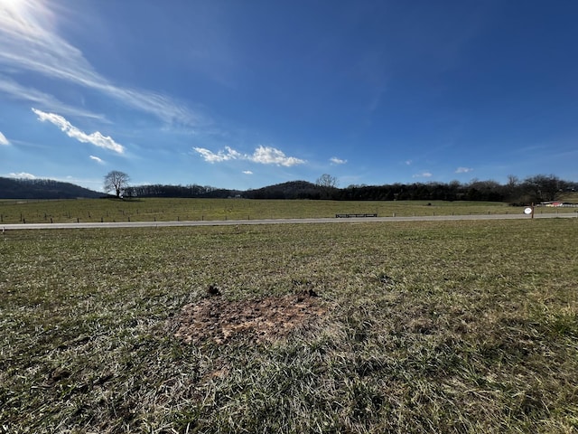 view of yard featuring a rural view