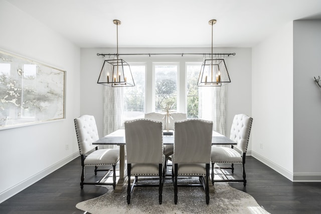 dining room with dark hardwood / wood-style floors