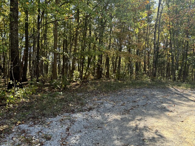 0 Middle Ridge Rd, Beersheba Springs, TN 37305
