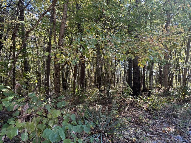 0 Middle Ridge Rd, Beersheba Springs, TN 37305