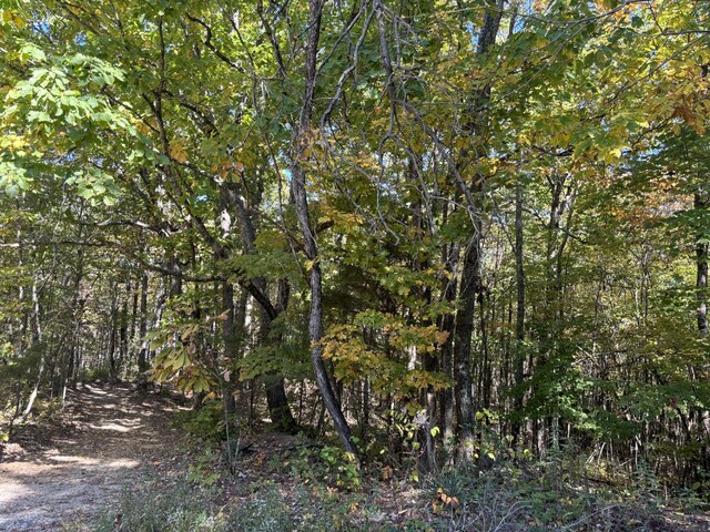 0 Middle Ridge Rd, Beersheba Springs, TN 37305
