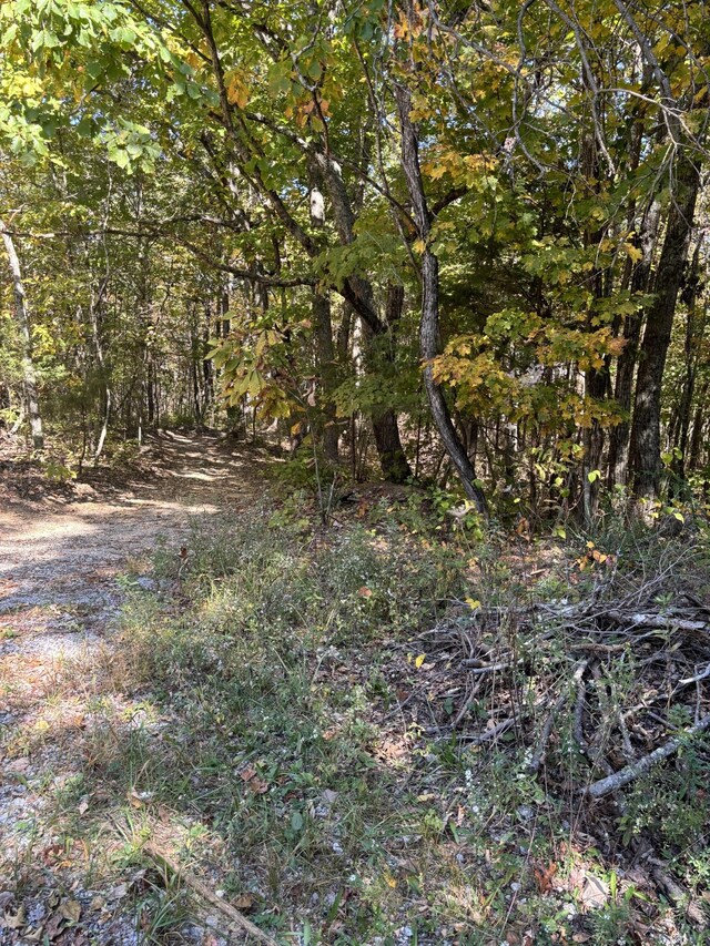 0 Middle Ridge Rd, Beersheba Springs, TN 37305