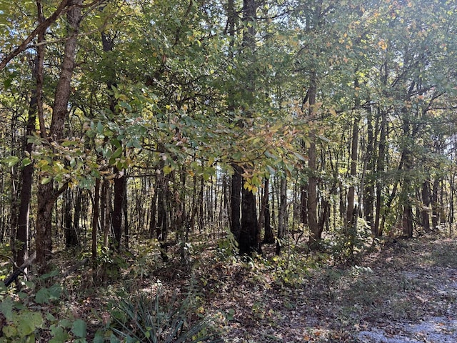 0 Middle Ridge Rd, Beersheba Springs, TN 37305