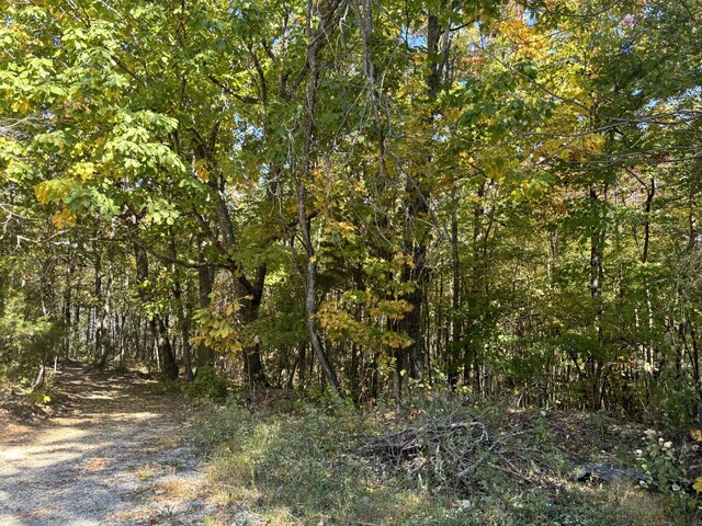 0 Middle Ridge Rd, Beersheba Springs, TN 37305
