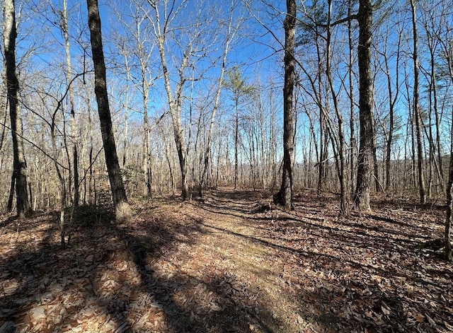 0 Middle Ridge Rd, Beersheba Springs TN, 37305 land for sale