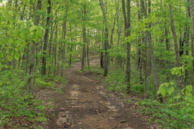 0 Middle Ridge Rd, Beersheba Springs, TN 37305