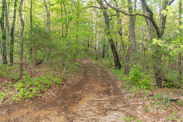 0 Middle Ridge Rd, Beersheba Springs, TN 37305