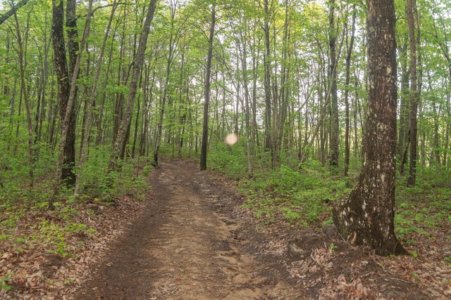 0 Middle Ridge Rd, Beersheba Springs, TN 37305
