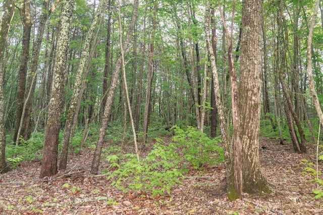 0 Middle Ridge Rd, Beersheba Springs, TN 37305