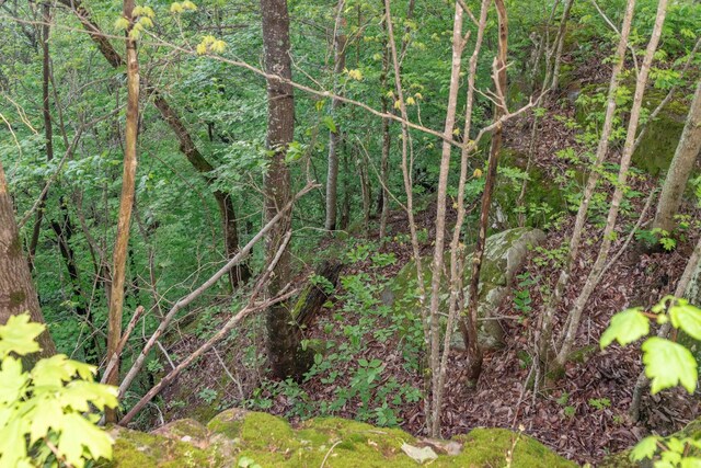 0 Middle Ridge Rd, Beersheba Springs, TN 37305