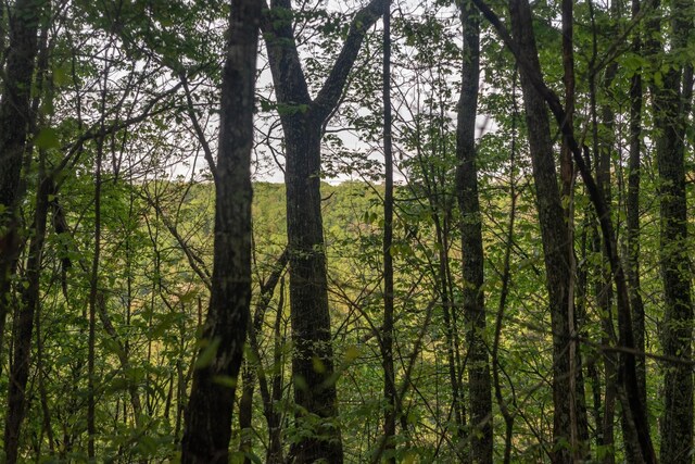 0 Middle Ridge Rd, Beersheba Springs, TN 37305