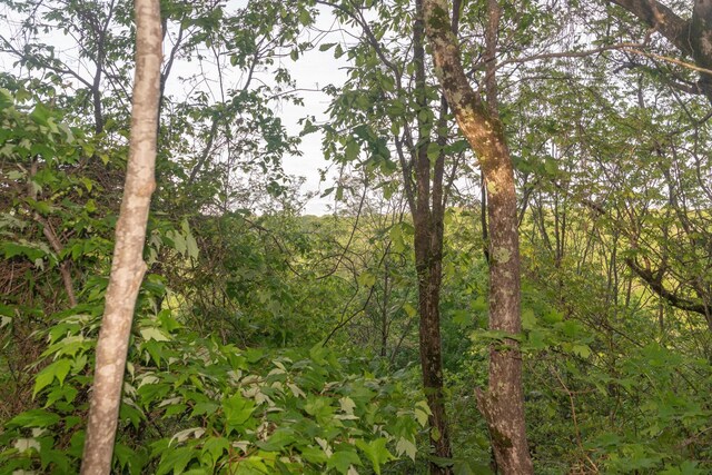 0 Middle Ridge Rd, Beersheba Springs, TN 37305