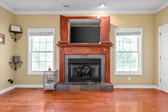 living room with hardwood / wood-style floors and a healthy amount of sunlight