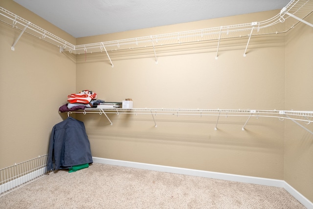 spacious closet featuring carpet flooring