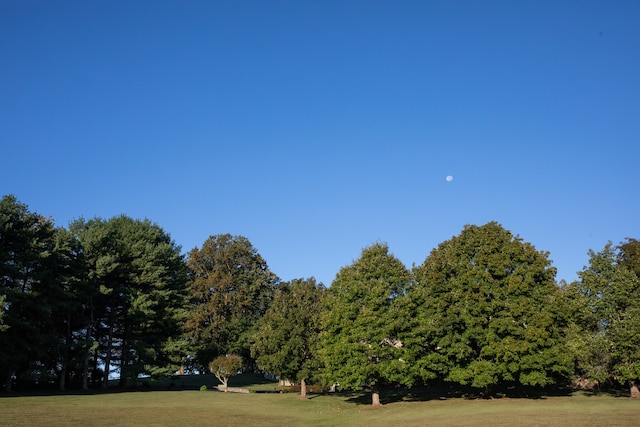 view of home's community featuring a yard