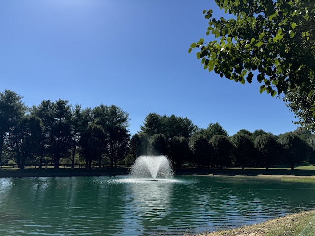 view of water feature