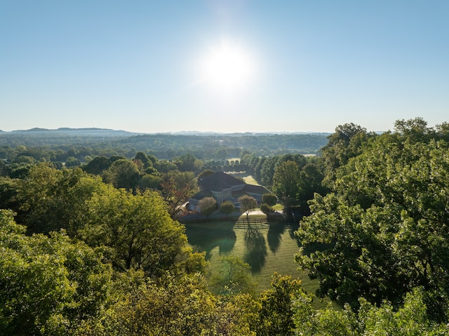 drone / aerial view with a rural view