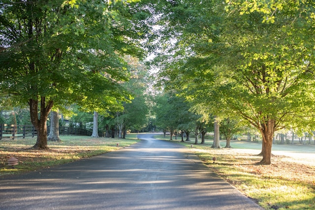 view of road