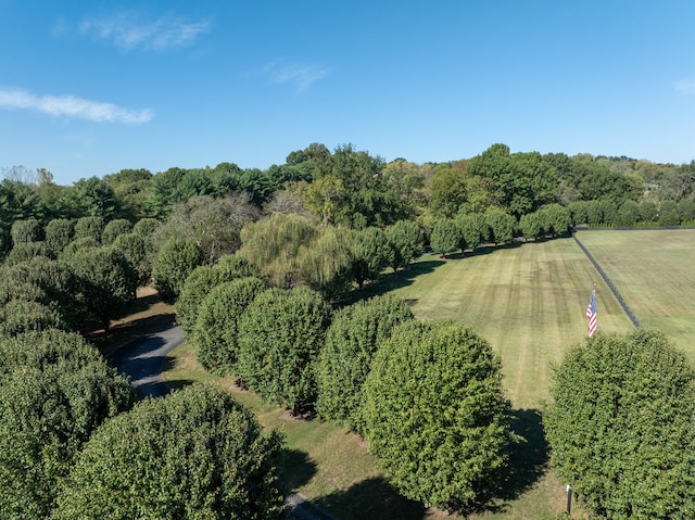 bird's eye view