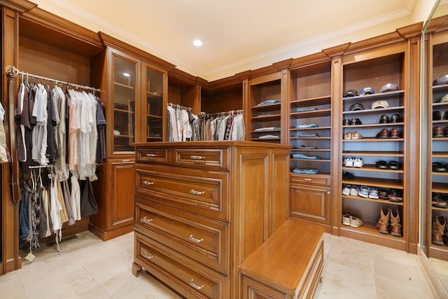 view of spacious closet