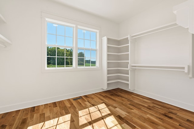 spacious closet with hardwood / wood-style flooring