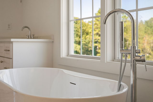 bathroom featuring a bathtub