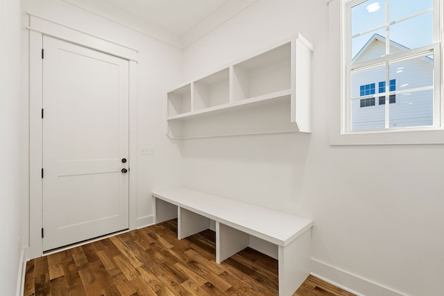 mudroom featuring crown molding and dark hardwood / wood-style floors