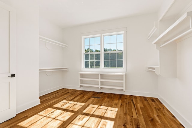 walk in closet featuring wood-type flooring