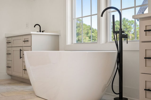 room details featuring vanity and a washtub