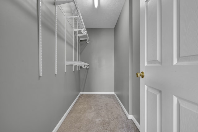 spacious closet featuring carpet flooring