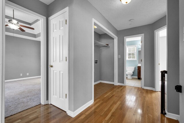 hallway featuring light hardwood / wood-style flooring and a textured ceiling