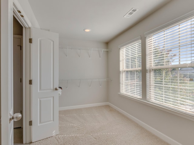 spacious closet featuring carpet