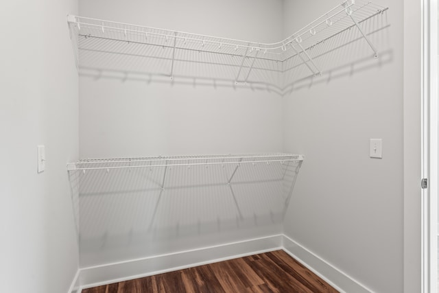 spacious closet featuring wood-type flooring