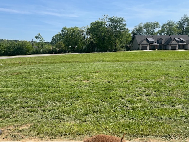 view of yard featuring a rural view