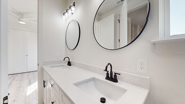 bathroom with hardwood / wood-style flooring and vanity