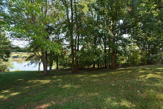 view of yard featuring a water view