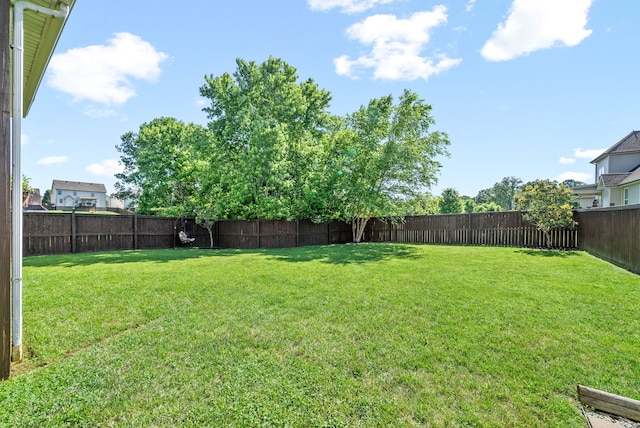 view of yard