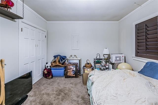 bedroom with ornamental molding, light carpet, and a closet