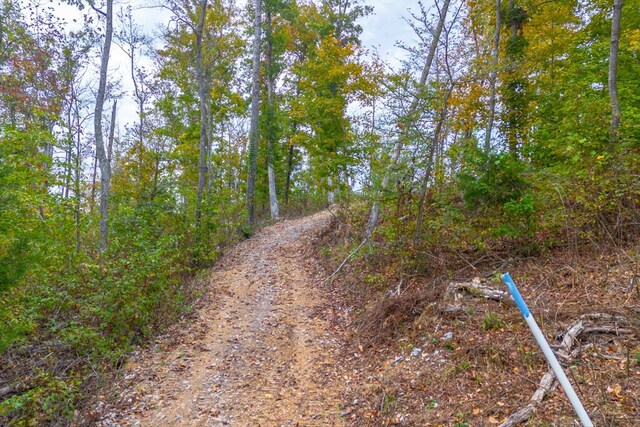 0 Ross Hollow Rd, Ashland City, TN 37015 - photo 4