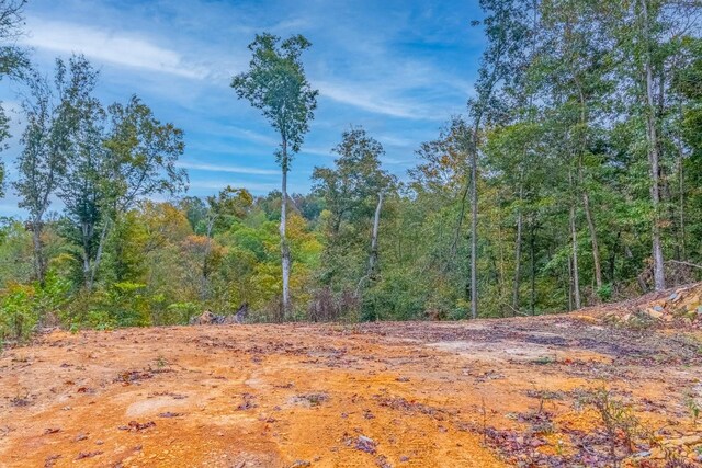 0 Ross Hollow Rd, Ashland City, TN 37015 - photo 8