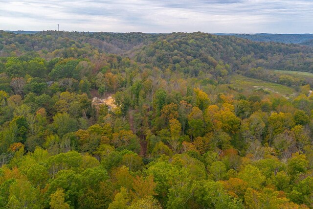 0 Ross Hollow Rd, Ashland City, TN 37015 - photo 17