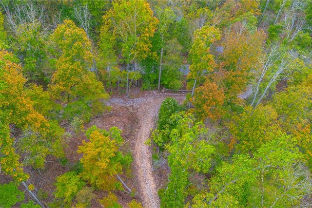 0 Ross Hollow Rd, Ashland City, TN 37015 - photo 5